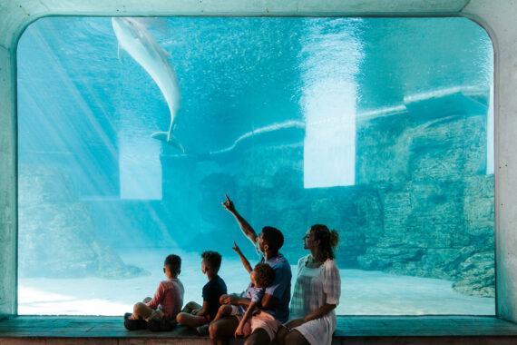 Sandpearl-Aquarium-570x380